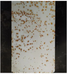 Ϳ÷WPЩNοƌWʹã Ϳھ,coatingol.com