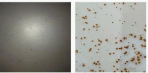 Ϳ÷WPЩNοƌWʹ Ϳھ,coatingol.com